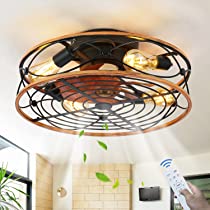 Ceiling Fan with Lights and Remote, 19.5" Caged Industrial Fandelier,
