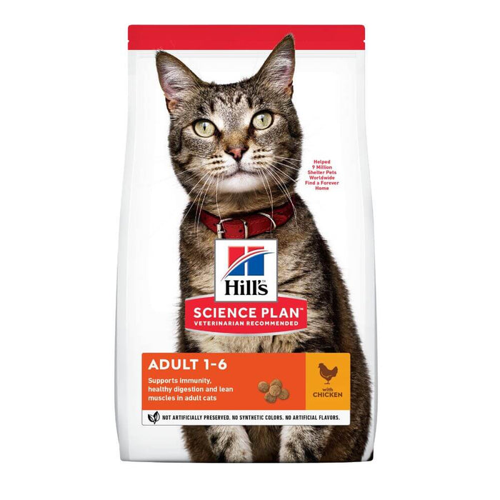 Adult With Chicken Cat Food