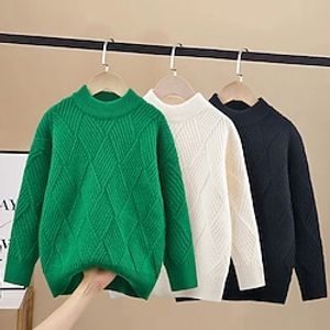 Kids Boys Sweater Solid Color Long Sleeve Crewneck School Daily off white Fall Clothes 7-13 Years