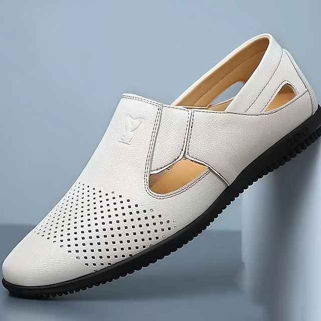 Men's Sandals Casual Shoes Plus Size Comfort Sandals Casual Daily Nappa Leather