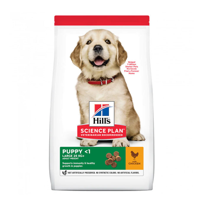 Puppy Large Breed With Chicken Dog Food