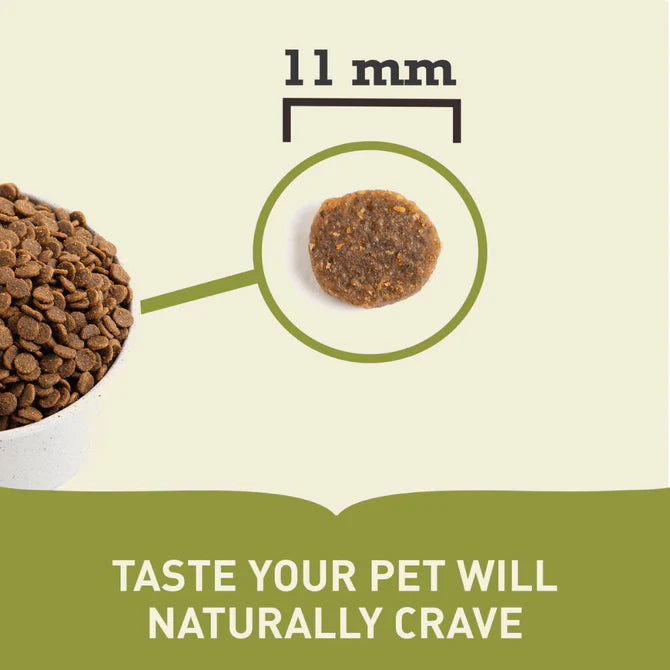 Puppy Dry Dog Food