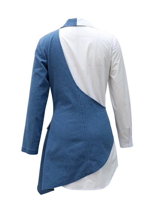 Women's Plus Size Curve A Line Dress Color Block V Neck Long Sleeve