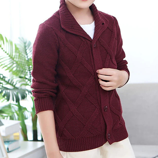 Kids Boys Cardigan Solid Color Daily Long Sleeve Fashion Cotton 3-10 Years