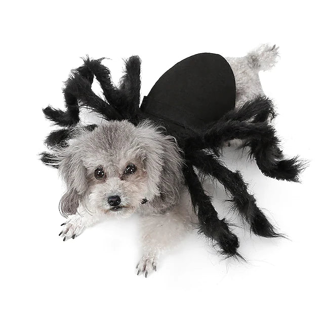 Halloween pet spider clothes Dog Joke Cat accessories Black Spider Scary Prop Horror backpack dog coat Funny DIY