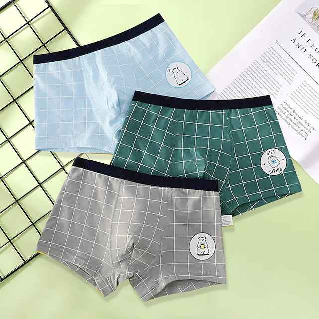 Kids Boys' 3 Pieces Underwear Rainbow Plaid Check Pattern Basic Cotton 2-12 Years