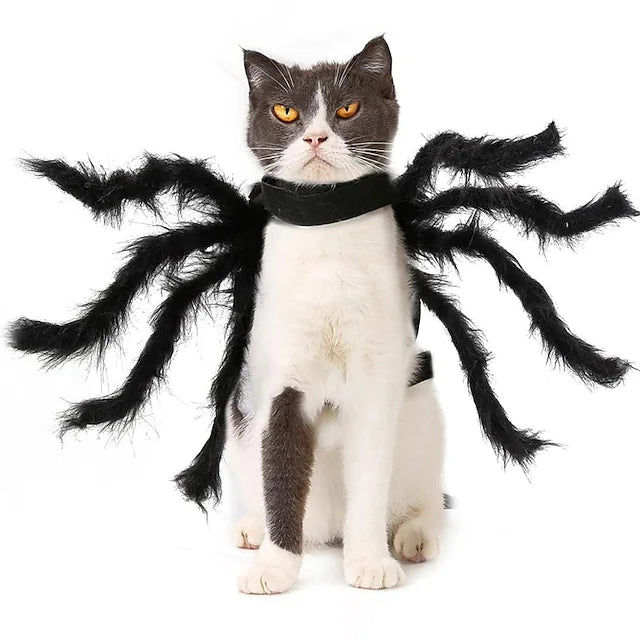 Halloween pet spider clothes Dog Joke Cat accessories Black Spider Scary Prop Horror backpack dog coat Funny DIY