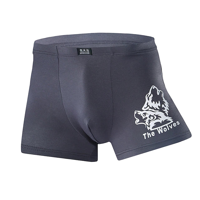 Men's Sport Briefs Running Brief Stylish Underwear Athletic Athleisure