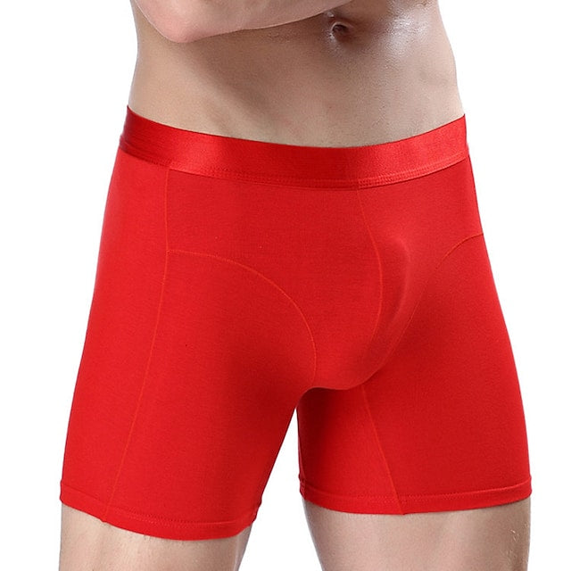 Men's Sport Briefs Running Brief Stylish Underwear Athletic Athleisure