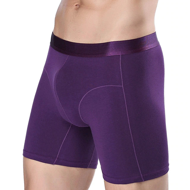 Men's Sport Briefs Running Brief Stylish Underwear Athletic Athleisure