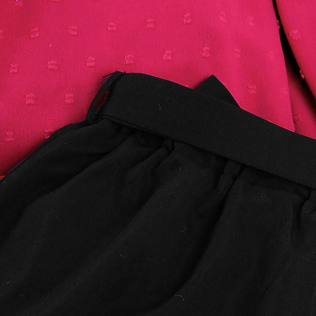 2 Pieces Kids Girls' Solid Color Skirt & Shirt Set Long Sleeve