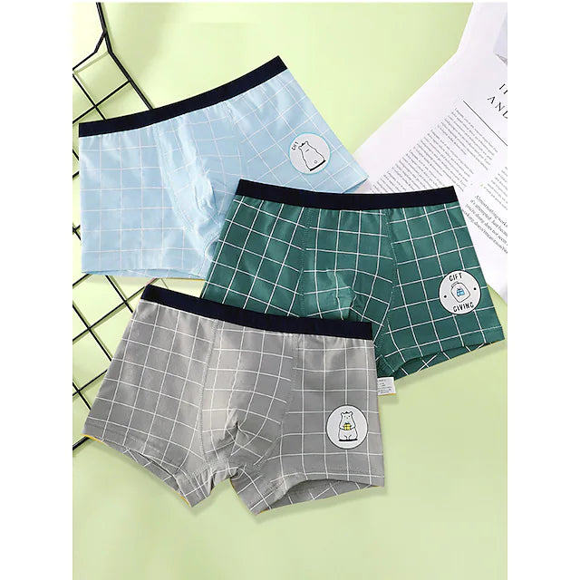 Kids Boys' 3 Pieces Underwear Rainbow Plaid Check Pattern Basic Cotton 2-12 Years