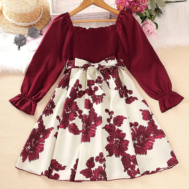 Little Girls' Dress Floral A Line Dress Formal Party Red Long Sleeve Active
