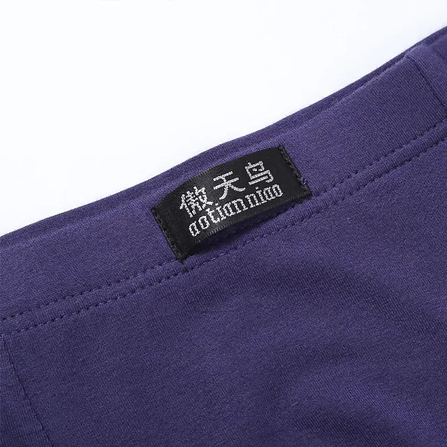 Men's Sport Briefs Running Brief Stylish Underwear Athletic Athleisure