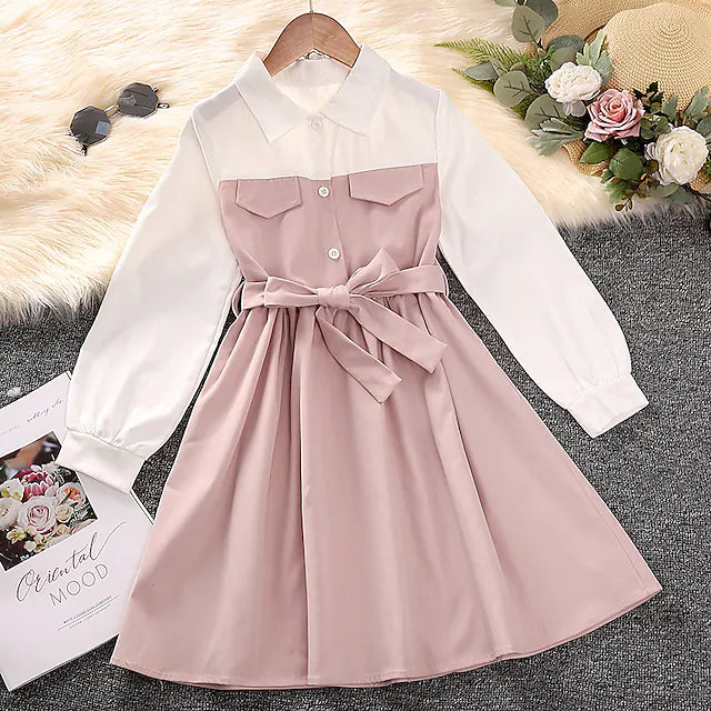 Kids Little Girls' Dress Solid Color A Line Dress Outdoor Pink Long Sleeve